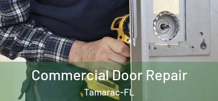 Commercial Door Repair Tamarac-FL