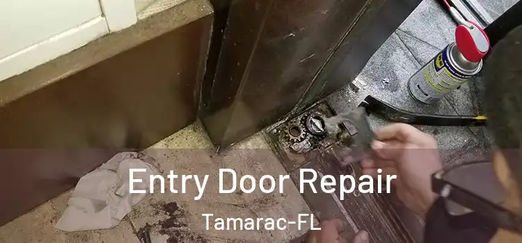 Entry Door Repair Tamarac-FL