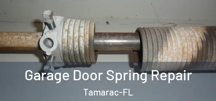 Garage Door Spring Repair Tamarac-FL