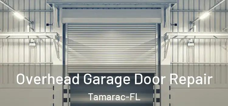 Overhead Garage Door Repair Tamarac-FL